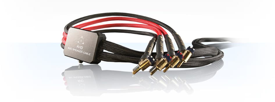 AVID ASC Reference SPeaker Cable 3M