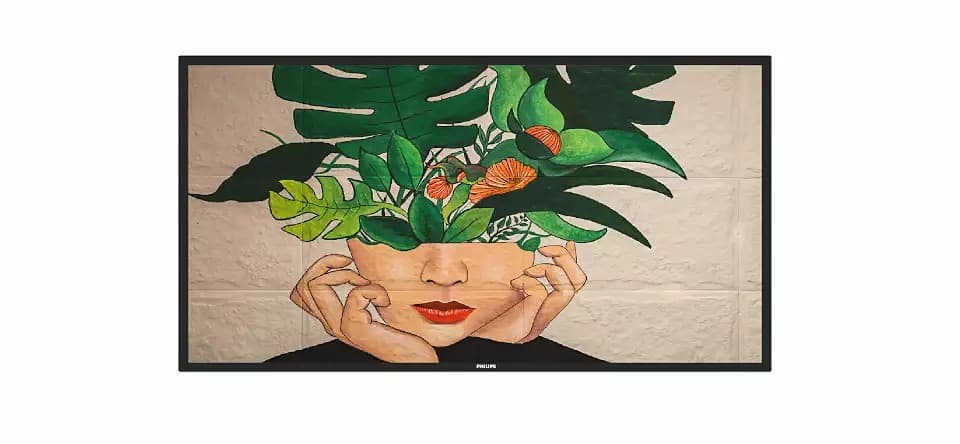 Philips 50BDL4511D/00