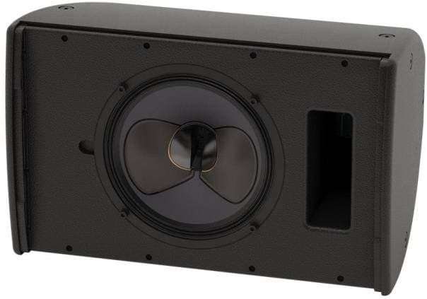 MARTIN AUDIO CDD10B - Акустическая система