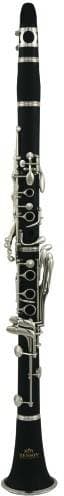 ROY BENSON CB-318 - Кларнет