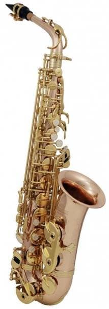 ROY BENSON AS-202 G - Саксофон альт