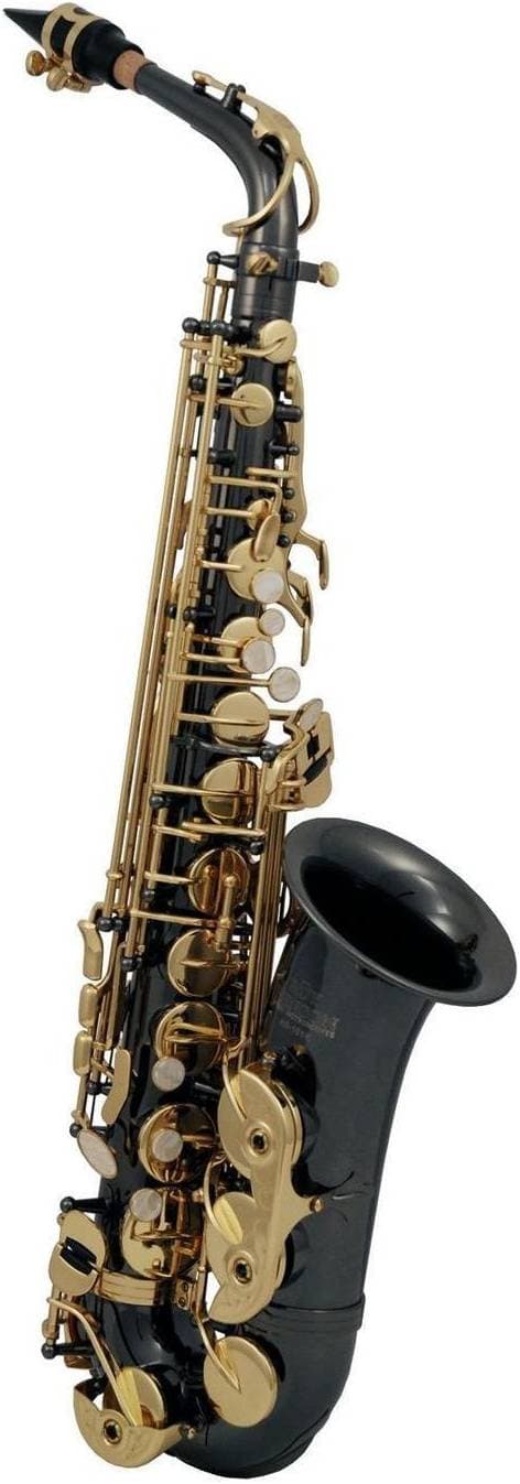 ROY BENSON AS-202 K - Саксофон альт