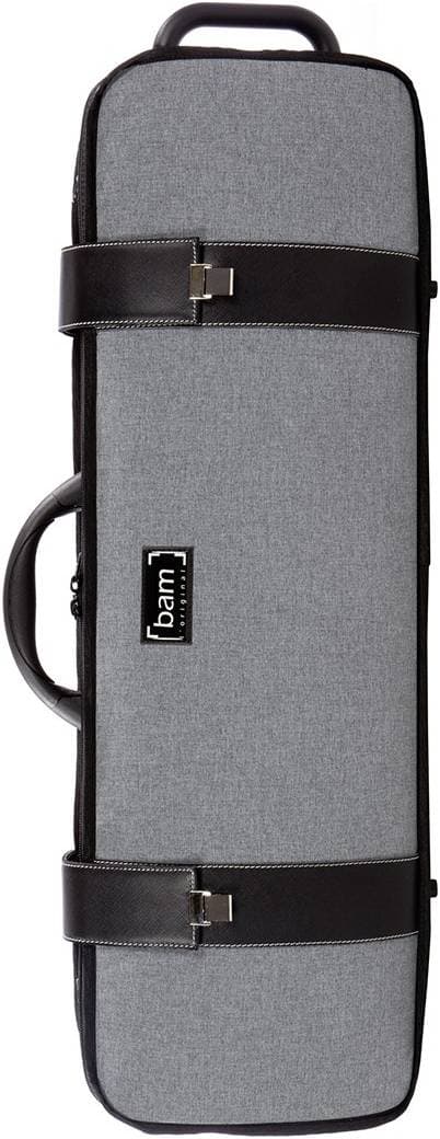 BAM CASES 2001GF Серый - Кейс для скрипки