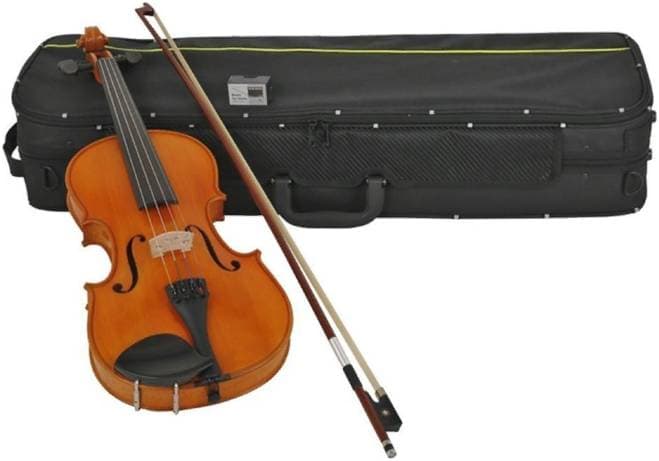 GEWA Aspirante Venezia 4/4 GS401.531 скрипка в комплекте