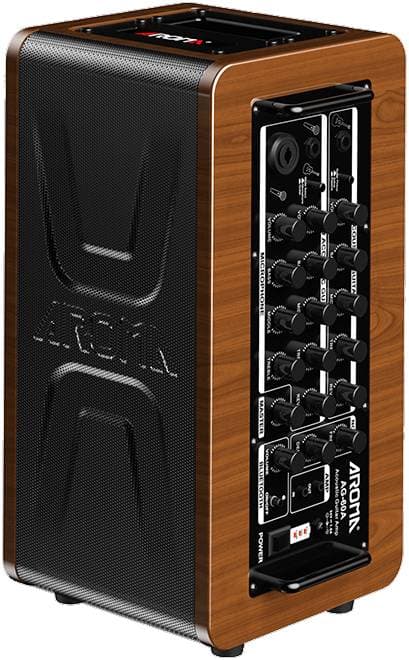 AROMA AG-60A - Комбоусилитель для акустической гитары