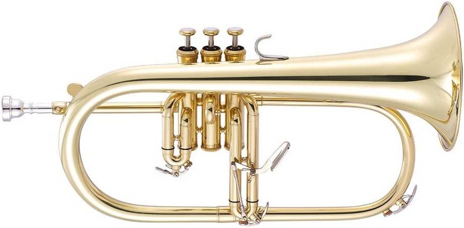 VERMONT JYFG410 - Флюгельгорн