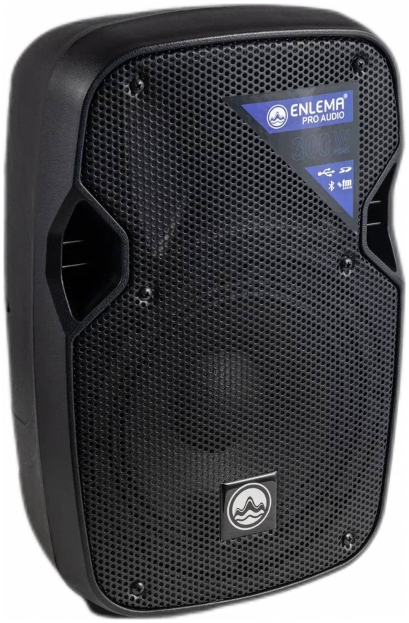 ENLEMA APS 8 - Акустическая система активная