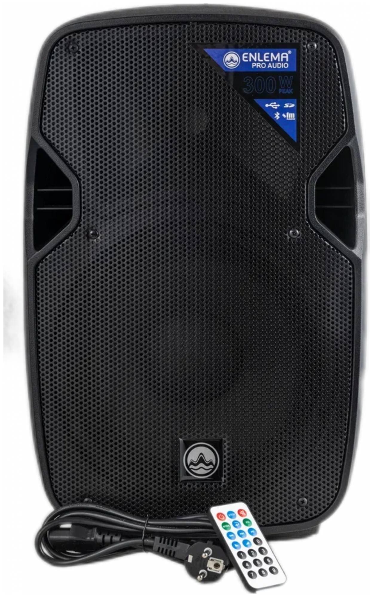 ENLEMA APS 10 - Акустическая система активная