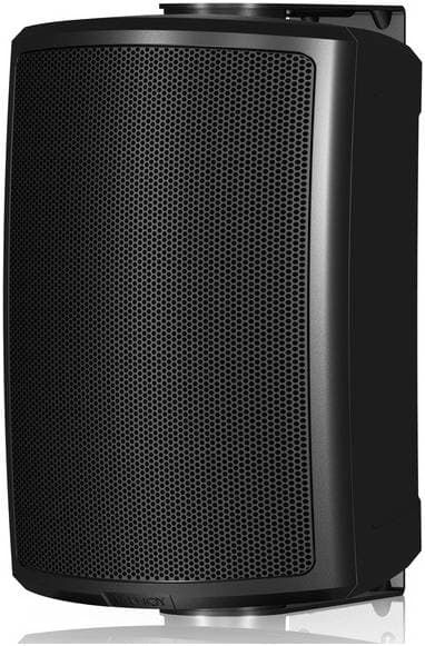 TANNOY AMS 5DC - Акустическая система